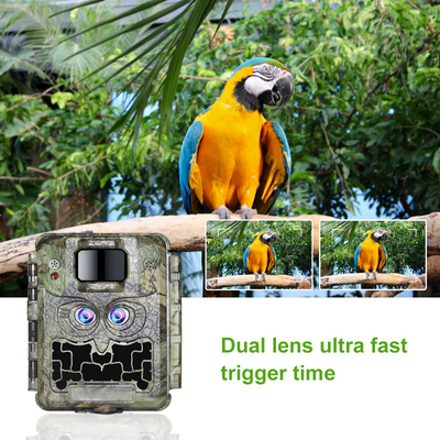 DC12V Çift Lensli 1080P Yaban Hayatı Takip Kamerası 13MP CMOS Glow Cam Yok