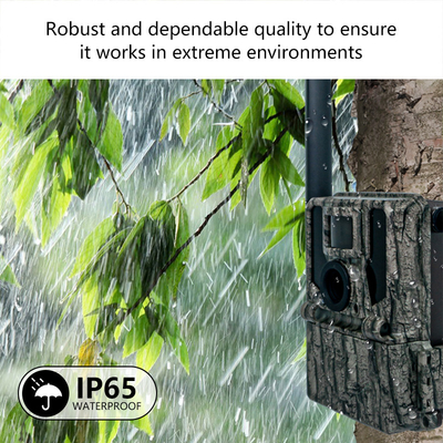 Keepguard 4G Hücresel Vahşi Yaşam Orman Yolu Kameraları APP uzaktan kumanda ile 36MP 2K/30fps Vahşi Oyun