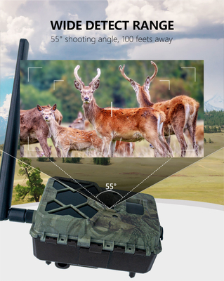 KW886 izleme kamerası, 4G sim kartı 24MP 1080P'de 30 fps'de inşa edilmiş, APP kontrolü ile su geçirmez IP67 oyun kamerası