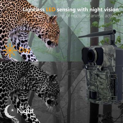 Hızlı 0.2s tetikleme süresi ve çok yönlü fotoğraf / video / fotoğraf video modları ile 32MP 4G Trail Kamera