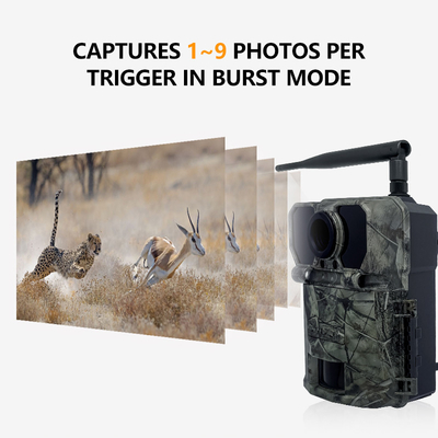 Hızlı 0.2s tetikleme süresi ve çok yönlü fotoğraf / video / fotoğraf video modları ile 32MP 4G Trail Kamera