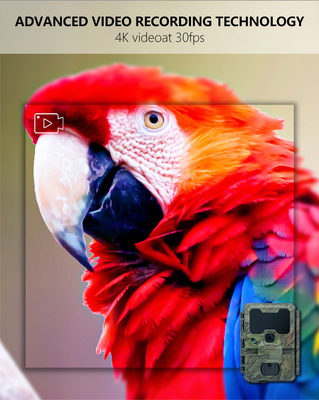 KW866 WIFI Av yolu Kamera su geçirmez IP67 OEM/ODM 512GB Depolama SD Bellek Kartı 32MP 4K