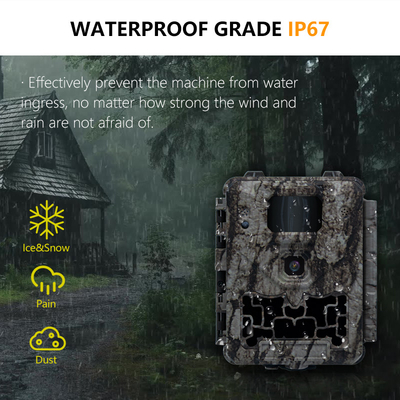 KW561 Trail Infra Cam Mini 30MP 0.25s Hız 4K Video Çözünürlüğü Su geçirmez CMOS Sensörü SD Me