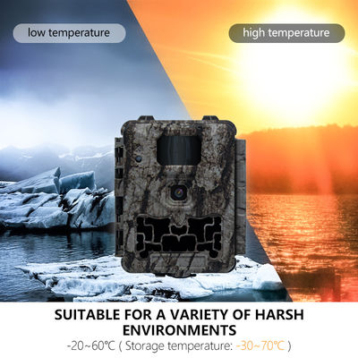 Otomatik IR Kes-Kaldırma ve 450mm Mikro Lens Destekli Profesyonel Av Kamerası