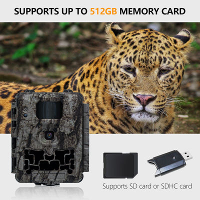 Otomatik IR Kes-Kaldırma ve 450mm Mikro Lens Destekli Profesyonel Av Kamerası