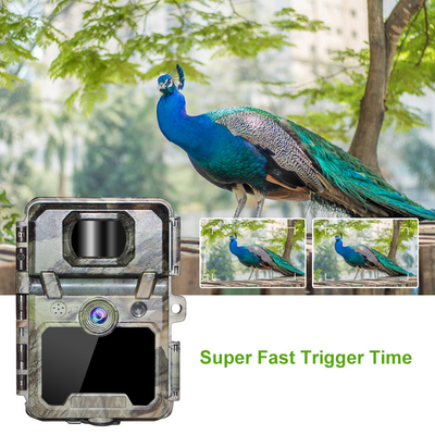 Trail Kamera ODM/OEM KW571 su geçirmez IP67 Parlama Yoksun CMOS Sensörü 30MP fotoğraf 1080P 0.25s tetikleme hızı gece görüşü