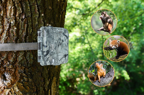 KG45 TRAMP Alarm TRAIL CAMERA Avcılık meraklıları için Çağrı alarma hızlı yanıt SMS göndermek için