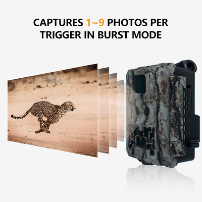 Fast Trigger Time 30MP Av Kamerası