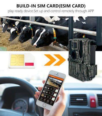 Avcılık ve İzleme Kameraları Güneş Paneli 4G Kablosuz Kamera KW897 Çift Anten ile 100ft Gece Menzili 36MP 2K Video 30fps