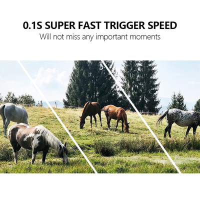 Ucuz maliyetli Yeni 4G deney kamerası KW886 24MP 0.1s tetikleyici antenli sim kartla geyik avı için