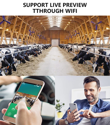 WIFI bağlantısı olan KW866 Trail kamerası 0.25s tetikleme hızı 512GB'ye kadar su geçirmez IP67 Depolama 32MP 4K 30fps'de buck çekimi için
