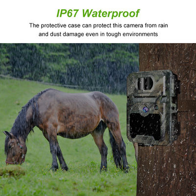 512GB Hafıza Kartı Desteğiyle Yaban Hayatı Gözlemi için Özelleştirilebilir HD Av Kameraları