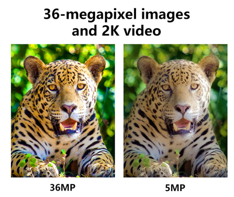 4G hücresel kablosuz avlama kamerası KW897 SIM kartı 36MP'lik bir simgeyle oluşturulmuştur ve çift antenli vahşi yaşam için 30 fps'lik 2K video yakalar