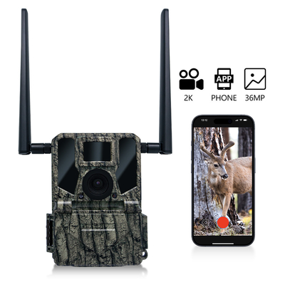 4G hücresel kablosuz avlama kamerası KW897 SIM kartı 36MP'lik bir simgeyle oluşturulmuştur ve çift antenli vahşi yaşam için 30 fps'lik 2K video yakalar