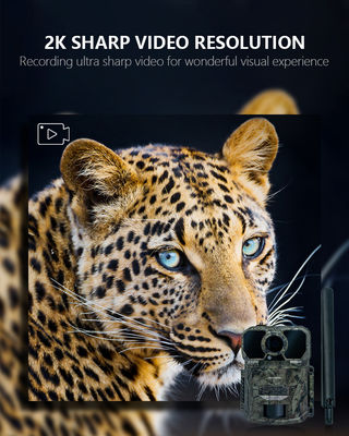 IP65 Su Geçirmez 4G İz Kamerası