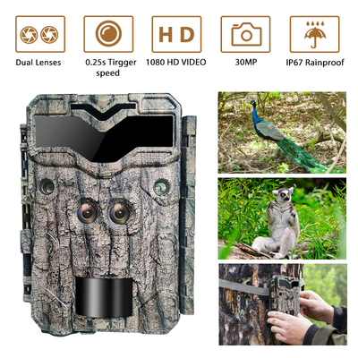 Çift Lensli Vahşi Yaşam için Yol Kamerası 0.25s Yakalama Hızı 30MP Kristal Görüntü 1080P Hayır - Parlak Gece Görme Kamerası