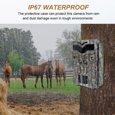 Çift lensli HD Avlama Kameraları