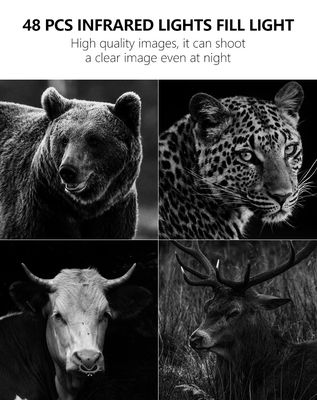 4G Trail Kamerası ile Eşsiz Performansı Tecrübe Et Wildlife İzleme için Mükemmel Çözüm