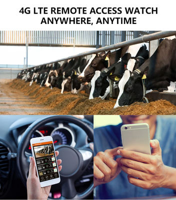 4G Trail Kamerası ile Eşsiz Performansı Tecrübe Et Wildlife İzleme için Mükemmel Çözüm