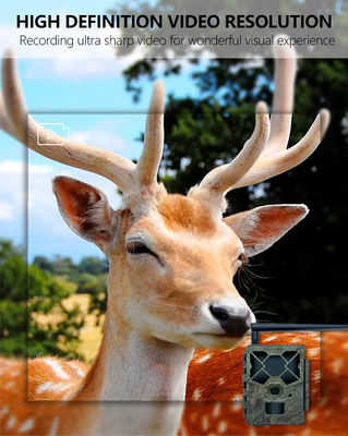 4G Trail Kamerası ile Eşsiz Performansı Tecrübe Et Wildlife İzleme için Mükemmel Çözüm