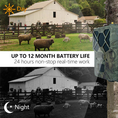 4G Trail Kamerası ile Eşsiz Performansı Tecrübe Et Wildlife İzleme için Mükemmel Çözüm