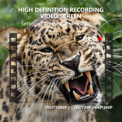 Çift lensli gizli kamera KW696 OEM/ODM 0.4s tetikleyici 1080P/30MP su geçirmez IP67 vahşi yaşam avlanması için 100ft gece aralığı