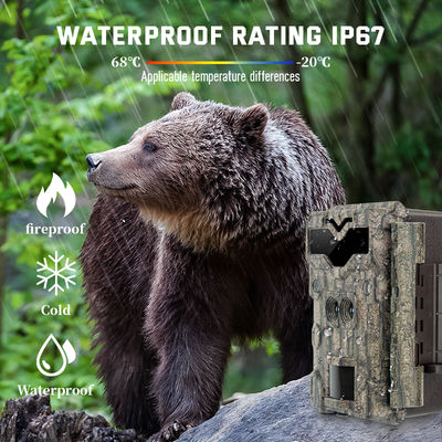 32MP Çift Lensli HD Av Kameraları 4K Oyun Parlamasız Yaban Hayatı Kamerası