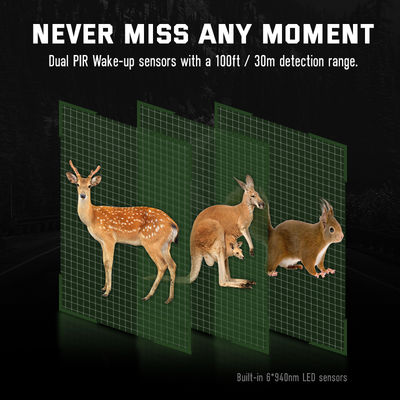 32MP Çift Lensli HD Av Kameraları 4K Oyun Parlamasız Yaban Hayatı Kamerası