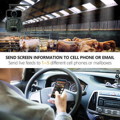 CMOS 25m IR Kablosuz Arka Kamera Su Geçirmez IP65 1080p Hd 180mA