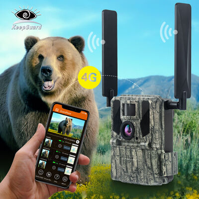 Uzaktan görüntüleme yeteneği ve uzak yerlerde ayrıntılı görüntüler yakalamak için tasarlanmış sağlam bir konaklama ile 4G Trail Kamera