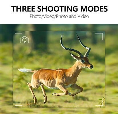 Hayvan Takibi için Tasarlanmış, 0,25 Saniyeden Az Ultra Hızlı Tepki Süresi Sunan Gece Görüşlü Oyun Patika Avcılığı Kamerası