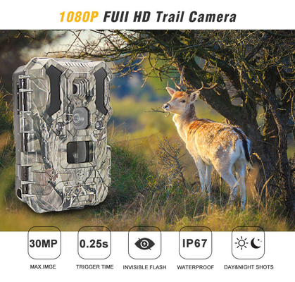 Kızılötesi LED'ler Yaban Hayatı Avcılık Kamerası 30MP 1080P IP66
