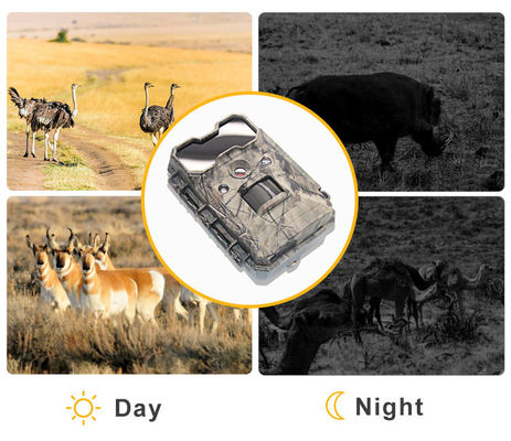 Hareket Aktif Vahşi Yaşam Kamerası