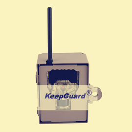 KG870 Dış Mekan Dijital Canlı Yaban Hayatı Kameraları 12MP 4000X3000 Görüntü Boyutu