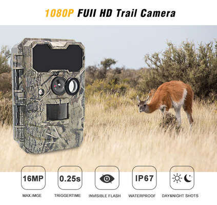 Geyik Kamerası KG790 Kızılötesi Yaban Hayatı Dış mekan kamerası 20MP IP67