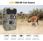 Hayvan Gözlem Geyik Avı Video Kameraları 1920x1080P