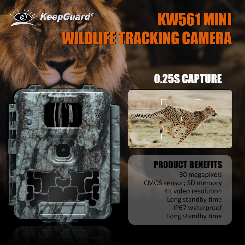 KW561 Vahşi Yaşam Yolu infra Cam Mini 30MP 0.25s Hız 4K Video Çözünürlüğü Su geçirmez CMOS Sensörü SD Hafıza Gece görüşü